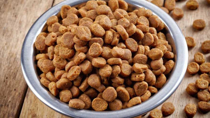 The Top 3 High Calorie Dog Food You Should Consider.